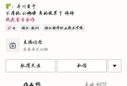 网红吃瓜群,揭秘娱乐圈幕后风云