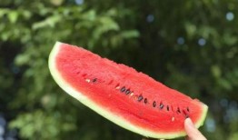 吃瓜网在线吃瓜,在线吃瓜，畅享娱乐盛宴