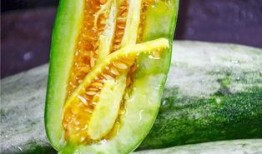 网红吃瓜小吃,揭秘网络红人美食新潮流