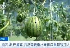 新闻吃瓜网,揭秘娱乐圈最新热点，带你领略幕后真相