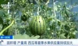 新闻吃瓜网,揭秘娱乐圈最新热点，带你领略幕后真相