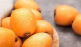 枇杷吃瓜网,揭秘枇杷产业的甜蜜秘密