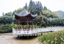 吃瓜网亭子,网络舆论场中的焦点之地