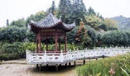 吃瓜网亭子,网络舆论场中的焦点之地