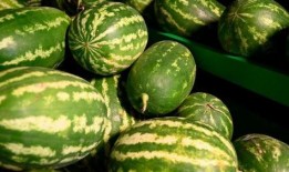 广州网红吃瓜事件,揭秘网络舆论的风暴与真相