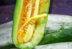 从哪里吃网红的瓜,从各大平台探寻热门八卦的诞生地