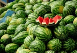 吃瓜事件网红瓜六,揭秘网红吃瓜背后的故事与真相