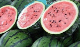 吃瓜网heilaio.su,带你走进网络娱乐的神秘世界