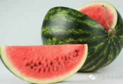 秦皇岛吃瓜网,揭秘当地美食与趣闻的网上乐园