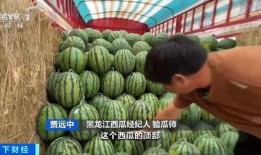 热点吃瓜网,揭秘娱乐圈最新热点事件，带你领略娱乐圈风云变幻