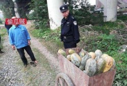 福山网红吃瓜事件视频,揭秘背后真相与网络舆论风暴