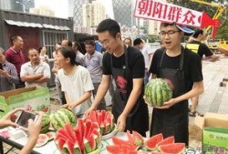 朝阳区吃瓜网,揭秘京城热点事件，带你领略京城生活百态