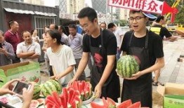 朝阳区吃瓜网,揭秘京城热点事件，带你领略京城生活百态