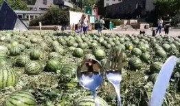 朝阳区吃瓜网,揭秘京城热点事件，带你领略京城生活百态