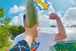 葡萄网红吃瓜,揭秘娱乐圈幕后真相