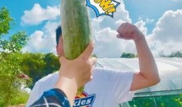 葡萄网红吃瓜,揭秘娱乐圈幕后真相