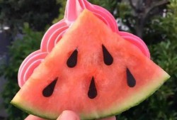 网红吃瓜溜溜梅,溜溜梅成热门零食伴侣