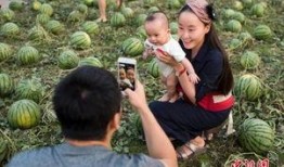 吃瓜群众岱岱网盘,揭秘网络世界的秘密花园