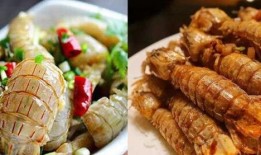 皮皮虾网红吃瓜,揭秘娱乐圈幕后真相