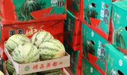 广州网红吃瓜事件,揭秘网络舆论的风暴与真相