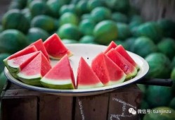 今日吃瓜网官网,揭秘娱乐圈最新热点，带你畅游八卦海洋