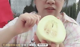 吃瓜事件网红瓜六,揭秘网红吃瓜背后的故事与真相