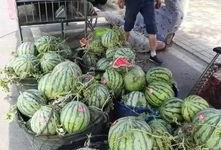 广州网红吃瓜事件,揭秘网络舆论的风暴与真相