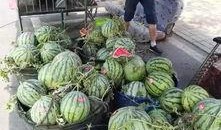 广州网红吃瓜事件,揭秘网络舆论的风暴与真相