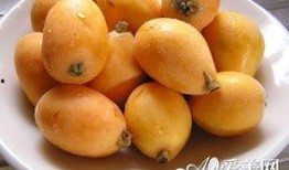 枇杷吃瓜网,揭秘枇杷产业的甜蜜秘密