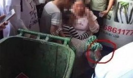 电梯网红吃瓜事件,揭秘背后真相与网络舆论风暴