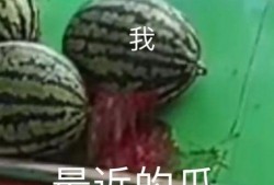 吃瓜网怎么不见了,揭秘背后原因与影响