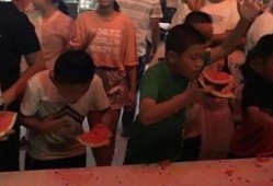 网红熊吃瓜大赛,一场爆笑与美食的狂欢盛宴