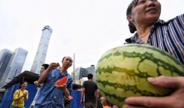 朝阳区吃瓜网,揭秘京城热点事件，带你领略京城生活百态