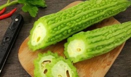 黑科技吃瓜网,吃瓜网带你探索未来科技前沿