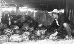 吃瓜群众岱岱网盘,揭秘网络世界的秘密花园