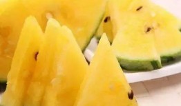 带你吃瓜网评,揭秘娱乐圈幕后真相