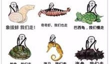 皮皮虾网红吃瓜,揭秘娱乐圈幕后真相