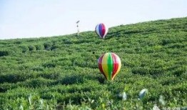 彩虹网红吃瓜,揭秘娱乐圈幕后真相